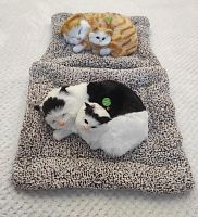 "Кошка с котенком" во Омске