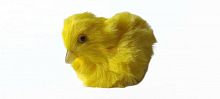 Цыпленок во Омске